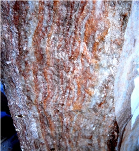 Spotted Comb Alabaster