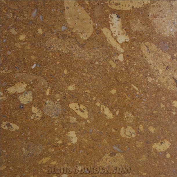 Star Gold Marble 