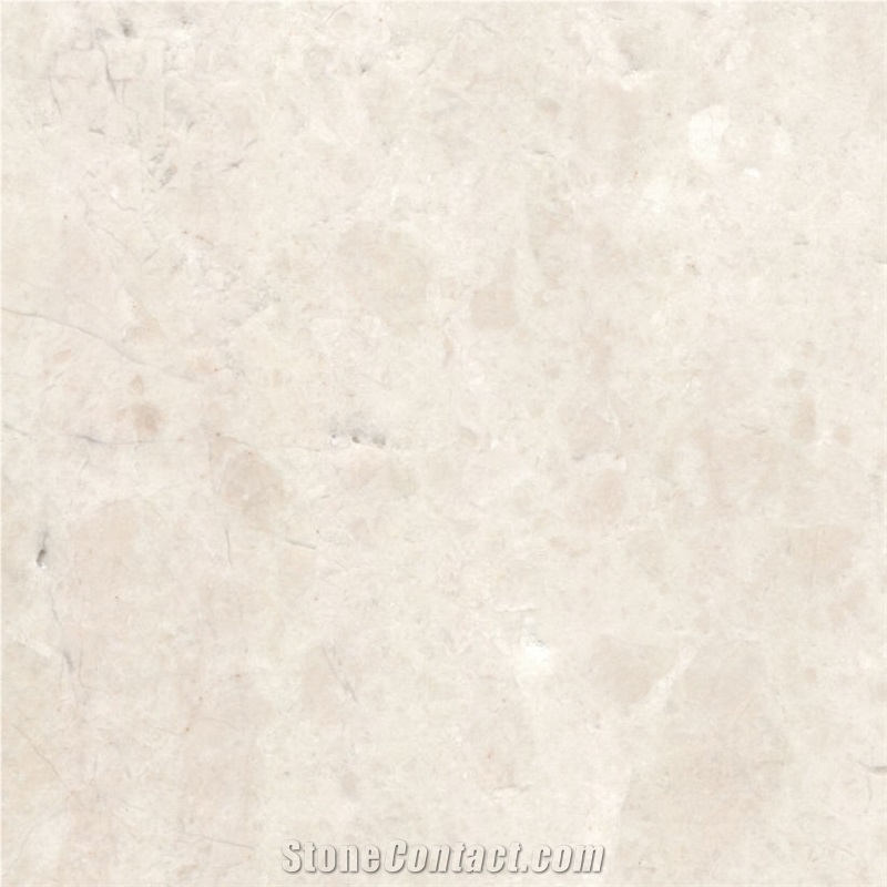 Terra Nova Marble Tile
