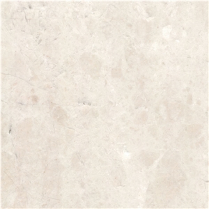 Terra Nova Marble