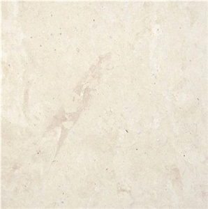 Thala Beige Coquillage Limestone