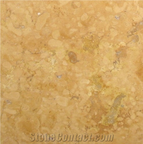 Ticul Gold Limestone 
