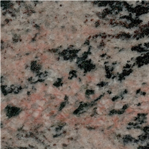 Tiger Skin Granite Tile