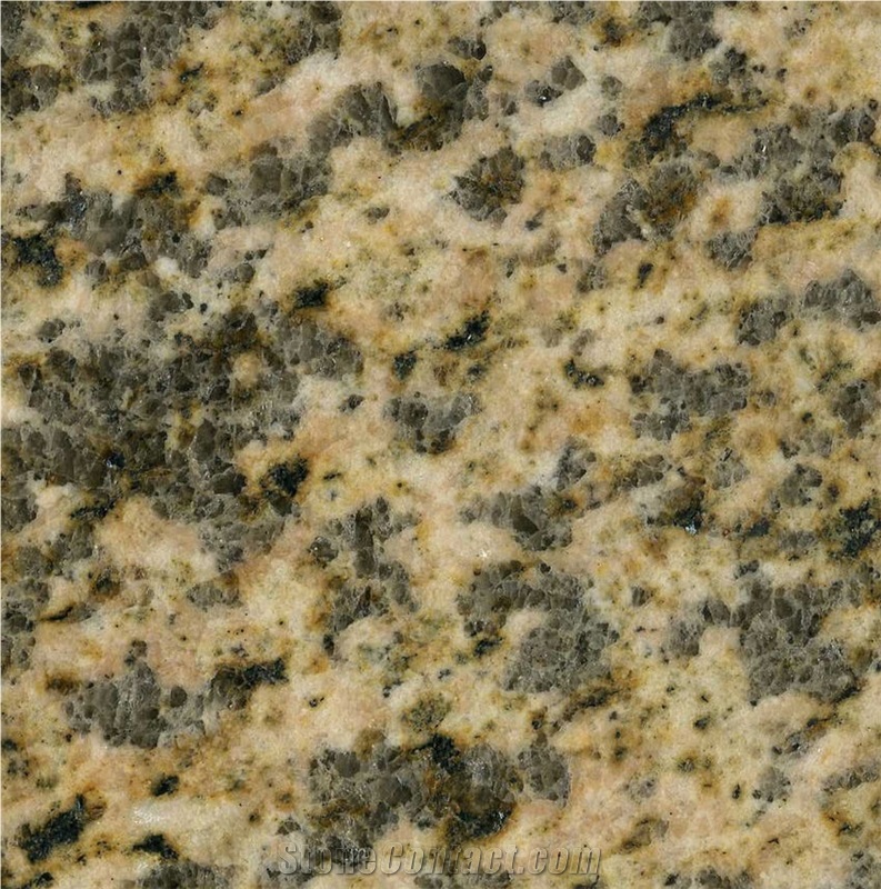 Tiger Skin Yellow Granite 