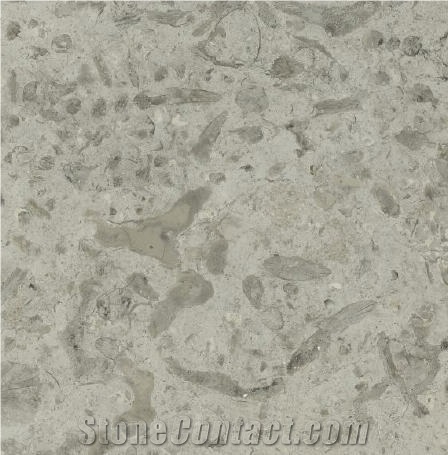 Transylvania Coral Limestone 