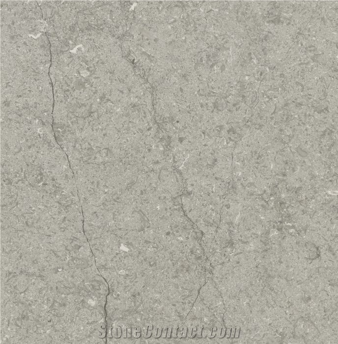 Transylvania Silver Limestone Tile