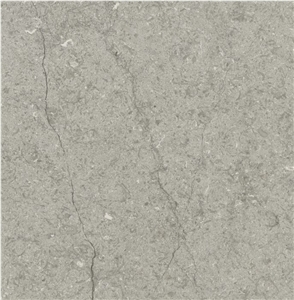Transylvania Silver Limestone Tile