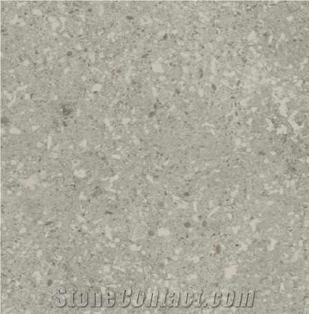 Transylvania V Gray Limestone Tile