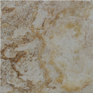 Traonyx Vedi