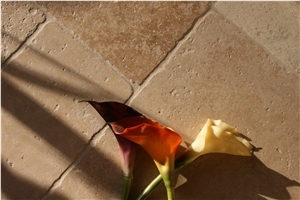 Dark Walnut Travertine