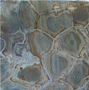 Turtle Green Quartzite