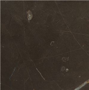 Venice Brown Marble