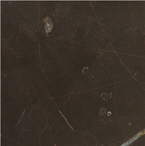 Venice Brown Marble