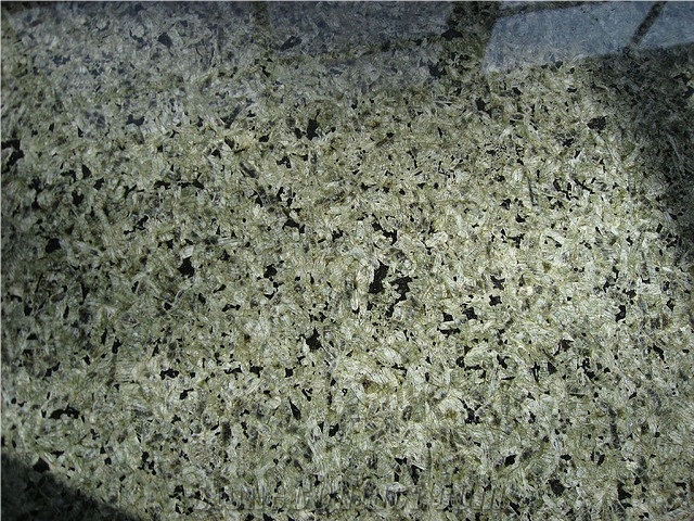 Verde Tunas Granite Slab