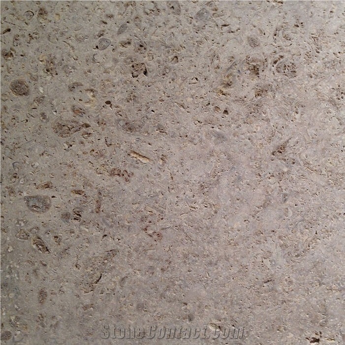 Verona Fossil Limestone Tile
