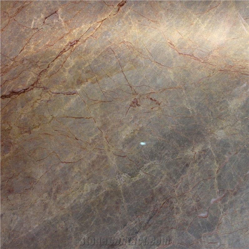 Versailles Gold Marble 