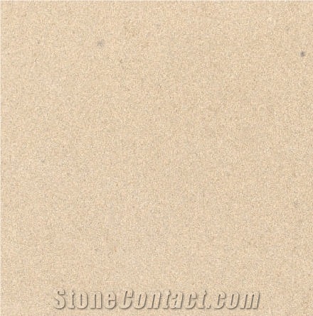 Vietnam Beige Sandstone 
