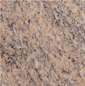 Vyara Granite