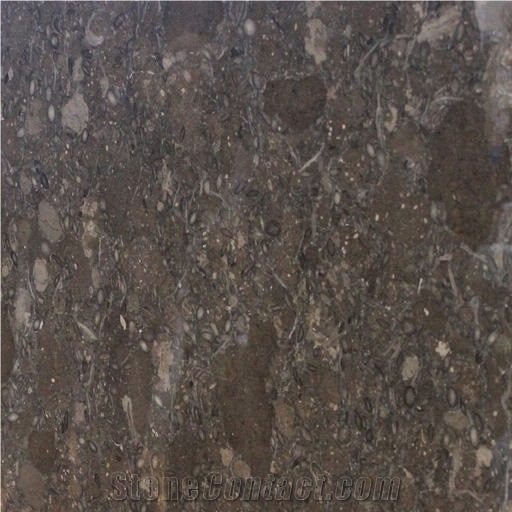 Walnut Brown Limestone Tile