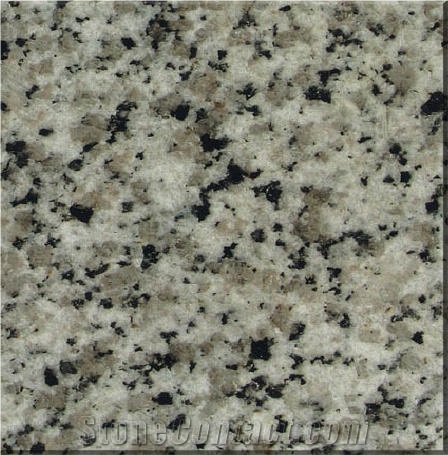 White Black Flower Granite 