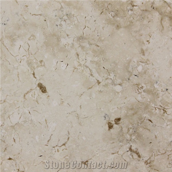 White Fossus Limestone 
