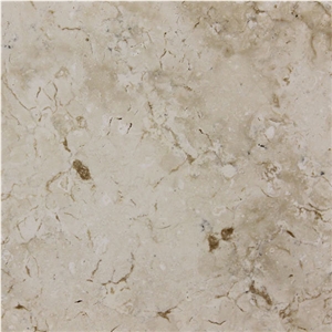 White Fossus Limestone
