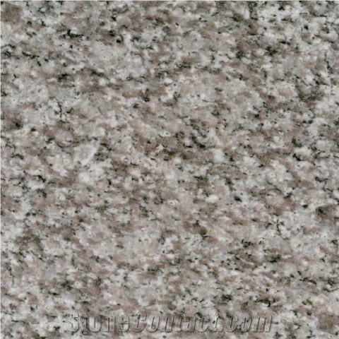 White Grain Zhangzhou Granite 