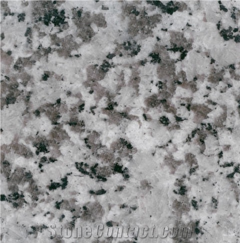 White Jinshan Granite 