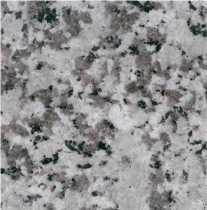 White Jinshan Granite