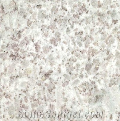 White Khameleon Granite 