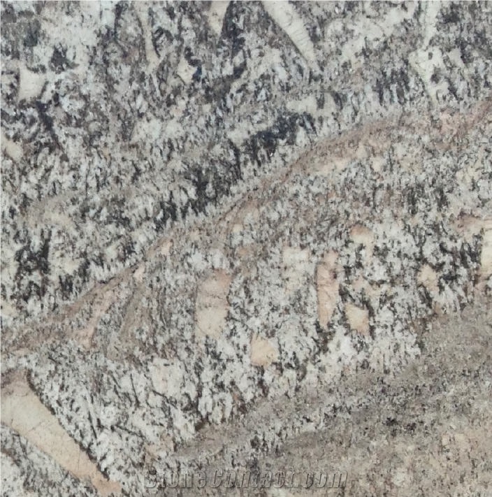 White Torroncino Granite Tile