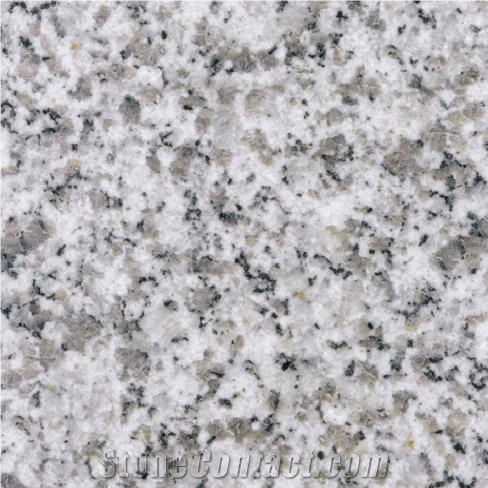 White Wendeng Granite 