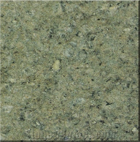 Yuexi Leopard Green Granite 