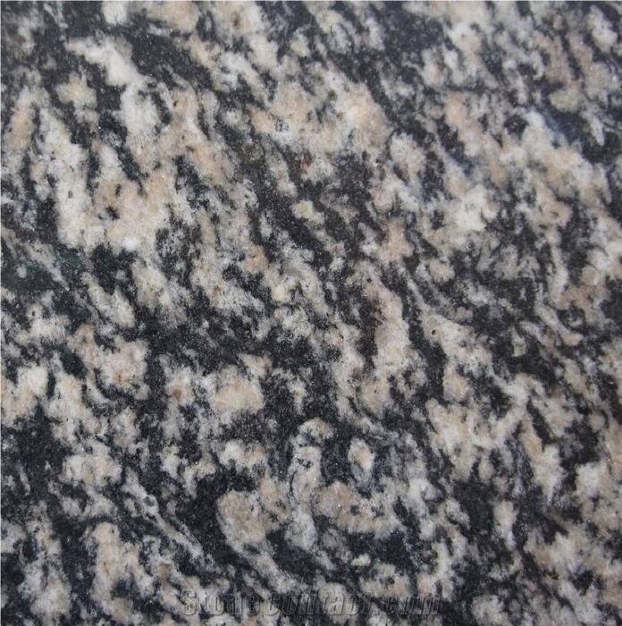 Zebra Black Granite 