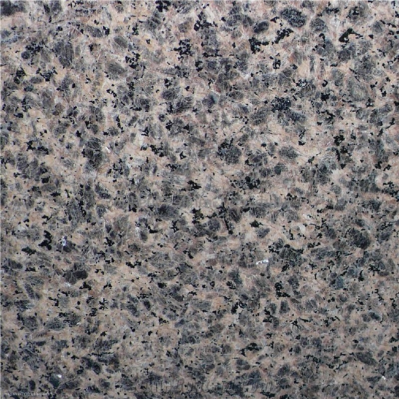 Zhangpu Leopard Skin Granite 