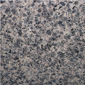 Zhangpu Leopard Skin Granite