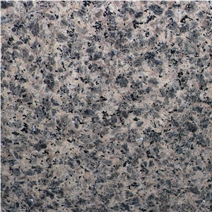 Zhangpu Leopard Skin Granite