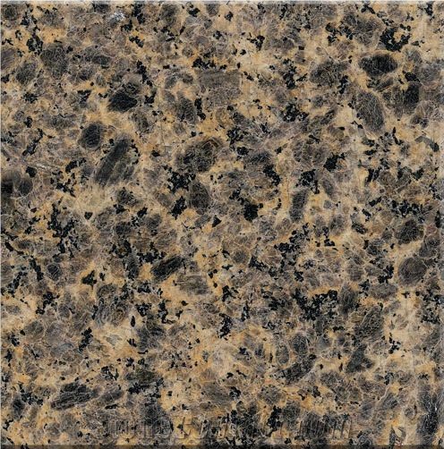 Zhangpu Leopard Skin Granite Tile