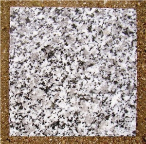 Grigio Sardo Granite - TGM Oddastra
