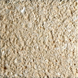Amarillo Fosill - Arenisca Fossil Sandstone Quarry