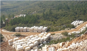 Chinese Polar Grey, Classic Grey Marble Quarry