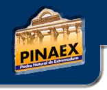 PINAEX