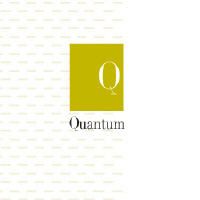 Quantum Stone Products Inc.