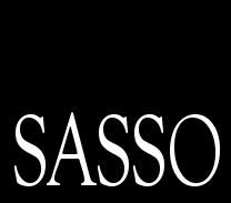 SassoStone