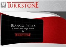 Turkstone