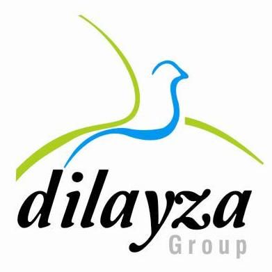 Dilayza Stone Industries