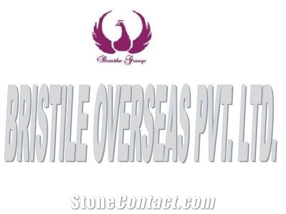 BRISTILE OVERSEAS PVT LTD