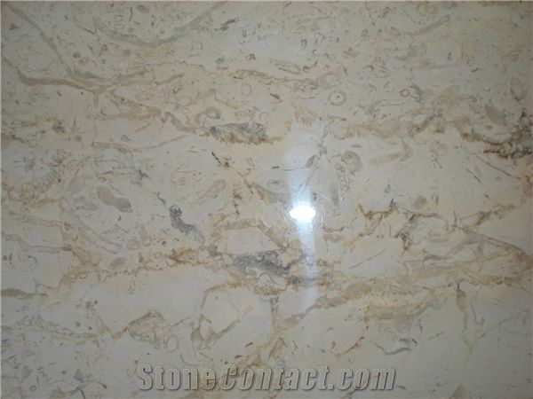 Ahmed and Fathi Abed for Marble and Granite 