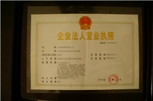 Company license 
