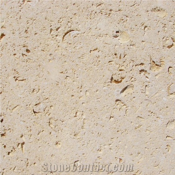 Armadillo Quarry - Cordova Shell Limestone